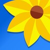 99视频播放器